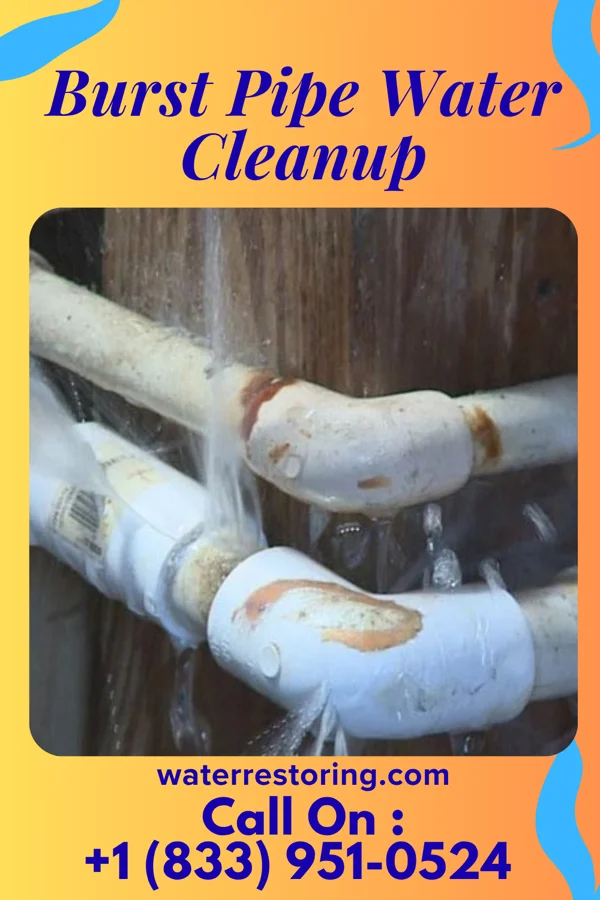 Burst Pipe Water Cleanup in Walker Mill, MD