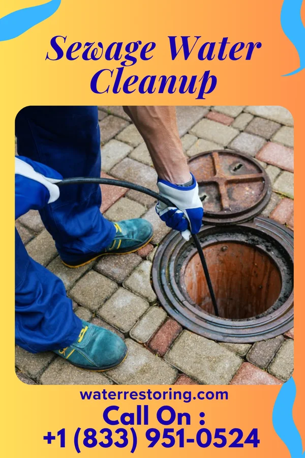 Sewage Water Cleanup in Walker Mill, MD