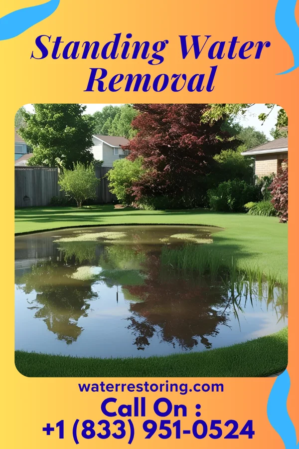 Standing Water Removal in Walker Mill, MD